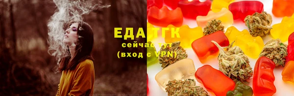 стафф Россошь