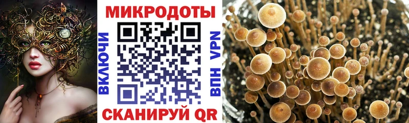 Галлюциногенные грибы Magic Shrooms  Купить  Калач-на-Дону 